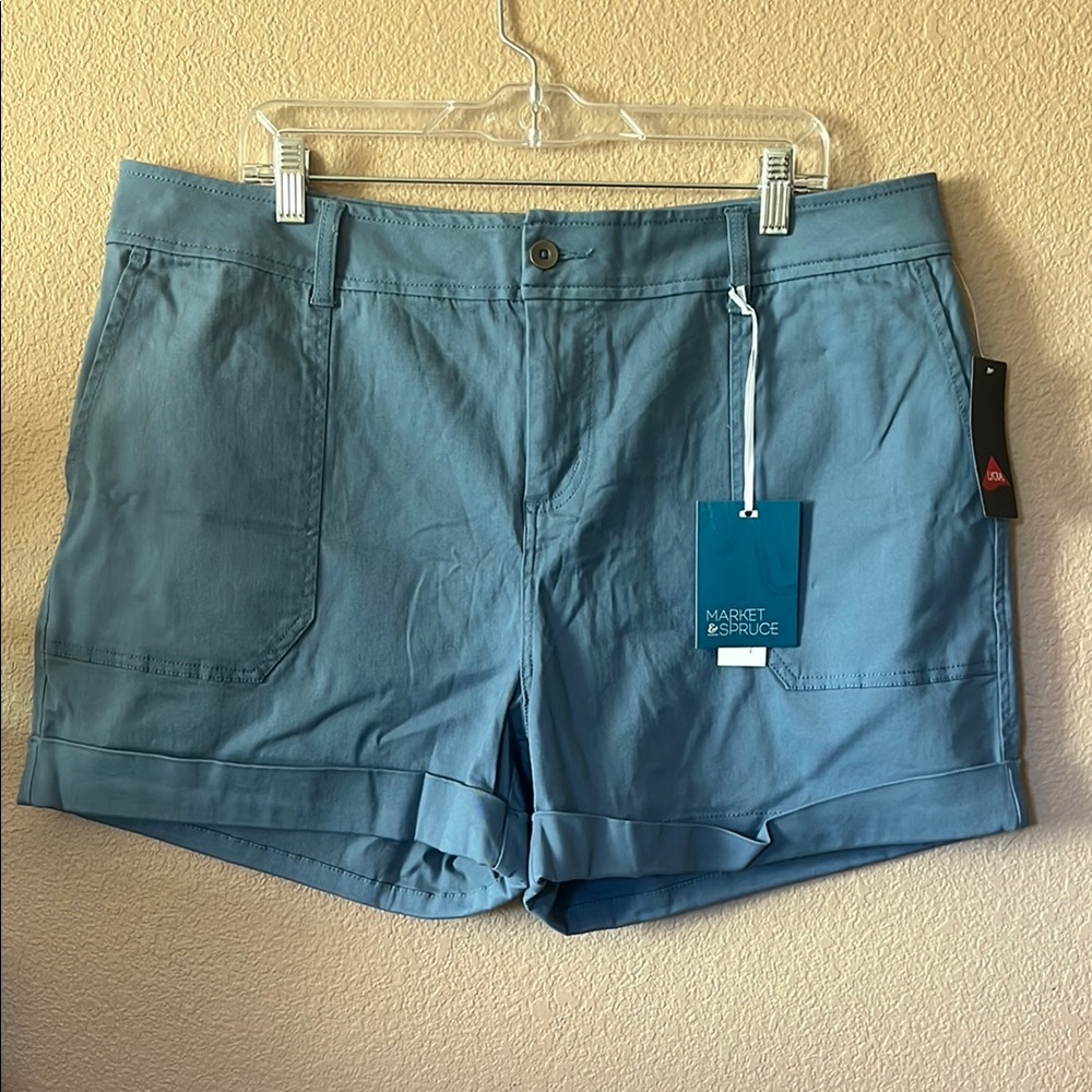 Market & Spruce Light Blue Cuffed Shorts